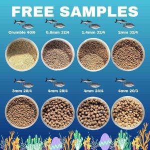 BEST FISH FEED