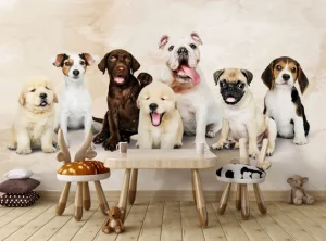 Aquaculture medicinal products company kolkata