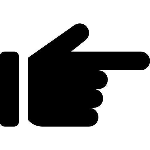 best saree shop in kolkata